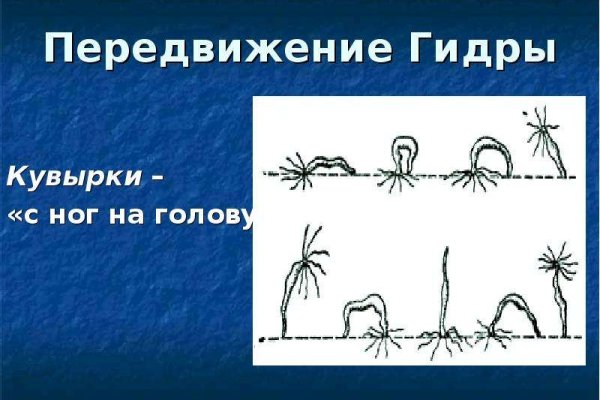 Официальная тор ссылка кракен сайта